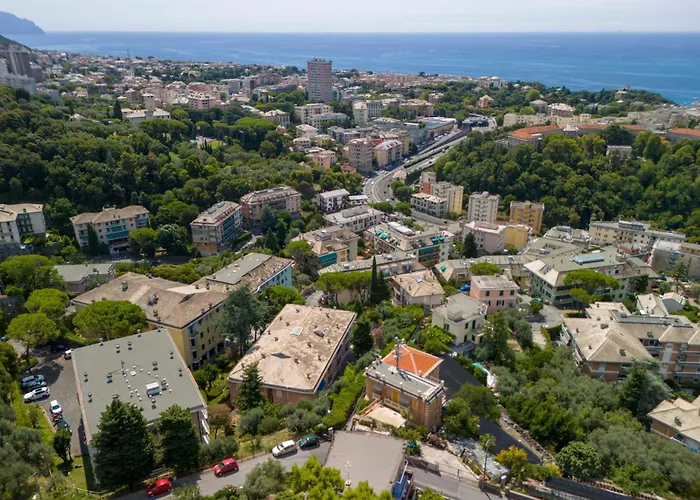 Iflat Un Nido Nel